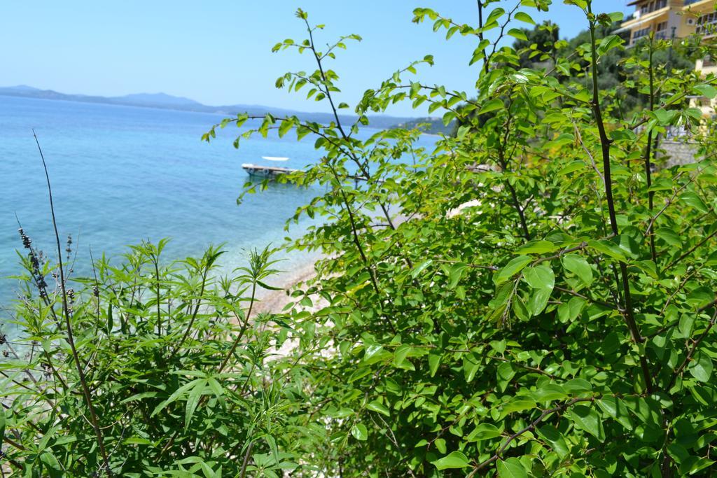 Glyfa Corfu Apartments บาร์บาตี ภายนอก รูปภาพ